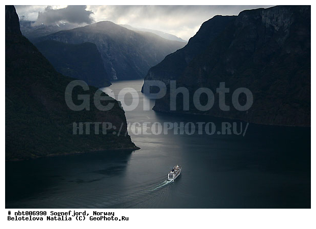 ��������, ����������, �����