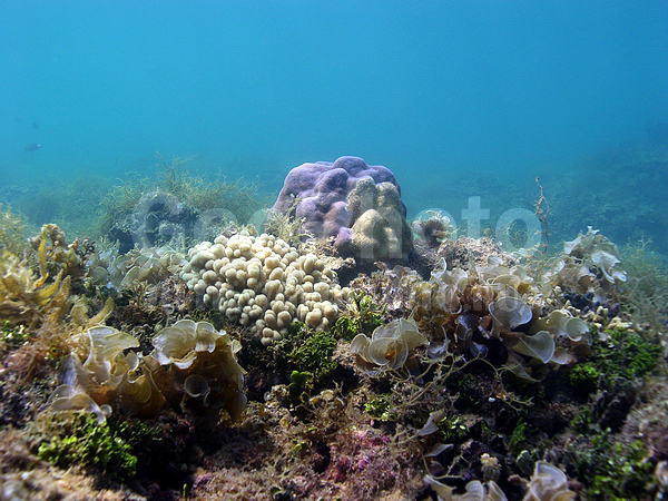 �������, �� ����, ������ ��������, ����-��������� ����, ����� ���������, ���������, ����� ������, ���������� ������, ���������� ����, ����������, ������, ������ ��������, ��������� ���, �������, ���, �������