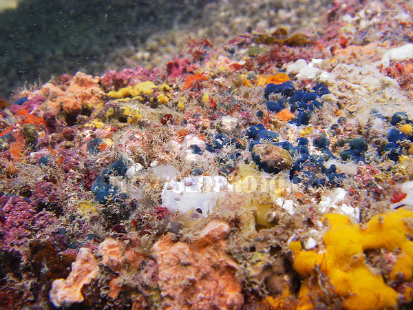 �������, �� ����, ����-��������� ����, ������� ������������, �����, ����� ������, ���������� ����, ����������, ��������� ���, �������, ���������