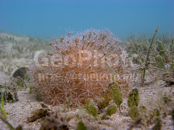 �������, �� ����, ����-��������� ����, �����������, ����� ������, �������� ������, ���������� ����, ������ �������, ��������� ���, �������