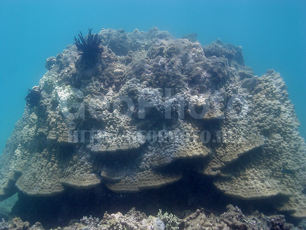 ��������� ������, �������, �� ����, ����-��������� ����, ����� ������, ����������� �������, ���������� ������, ���������� ����, ��������� ���, �������, ������������ �������, �������