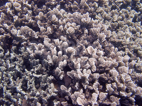 �������, �� ����, ����-��������� ����, ������� �������, ����� ������, ���������� ����, ������, ��������� ���, �������