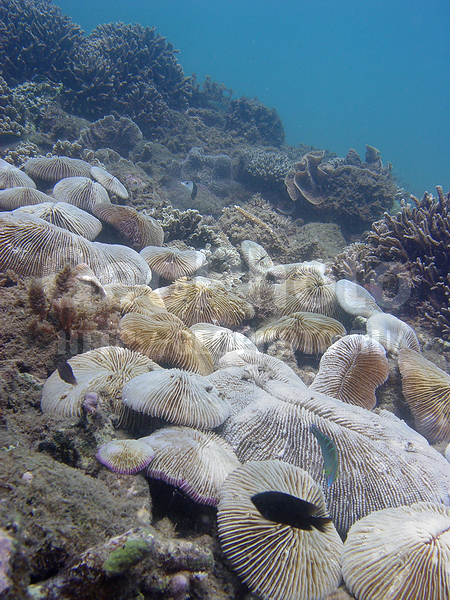 �������, ����������� ������, �� ����, ����-��������� ����, ����������� ������, ������� �������, ����� ������, ���������� ����, ��������� ���, �������, ������ �����������