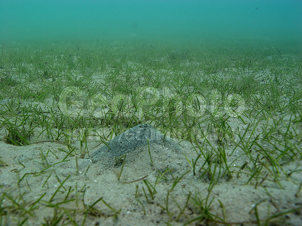 �������, ������� �����, �� ����, ����-��������� ����, ������, ����� ������, ���������� ����, ������� �����, ��������� ���, �������