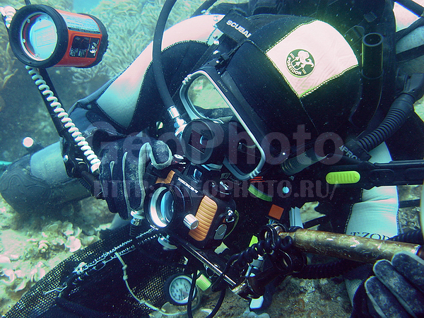 �������, �� ����, ���� ��������, ����-��������� ����, ������, ����� ������, ���������� ����, ��������� ����������, ��������� ���, ��������� ��������, �������, ��������