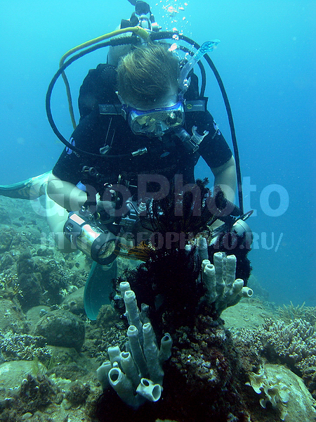 �������, �� ����, ����-��������� ����, ������, ����� ������, ���������� ����, ��������� ����������, ��������� ���, ��������� ��������, �������, ��������