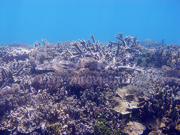 �������, �� ����, ����-��������� ����, ����� ������, ���������� ����, ��������� ���, �������