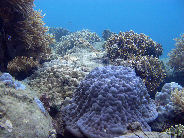 �������, �� ����, ����-��������� ����, ����� ������, ���������� ����, ��������� ���, �������