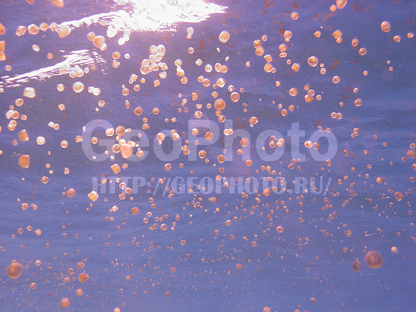 �������, �� ����, ����-��������� ����, ����� ������, ���������� ����, ������, ��������, ��������� ���, �������