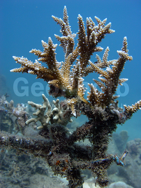 �������, �� ����, ����-��������� ����, ���� �������, ��������, ����� ������, ������������, �������, ����, �����, ��������� ������