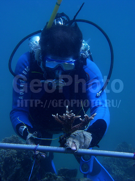 �������, �� ����, ����-��������� ����, ���� �������, ��������, ����� ������, ������������, �������, ����, �����, ��������� ������