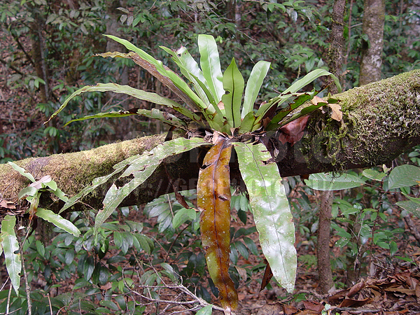 �������, �� ����, ����� ������, ���, �����, �������, ����������� ���, ��������� ��������, �������