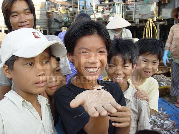 �������, �� ����, ����� ������, ������������, ������, ������� �������������, ����, ������, ������ �����, ��������, ��������