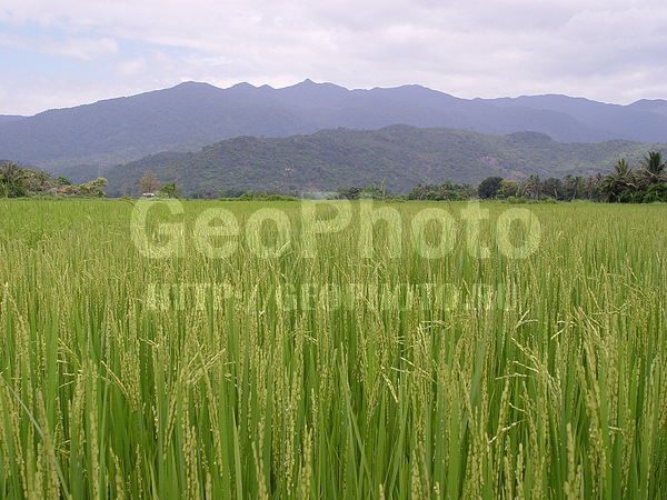 �������, �� ����, ����� ������, ����, ���������, ���, ������� ����