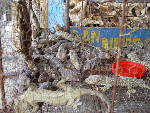 �������, �� ����, ��������, ����� ������, ������������ ��������