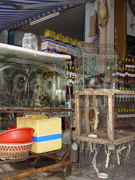 �������, �� ����, ��������, ����� ������, ������������ ��������