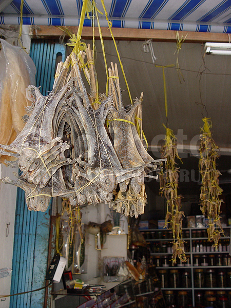 �������, �� ����, �������, ��������, ����� ������, ����, ��������, ������������ ��������