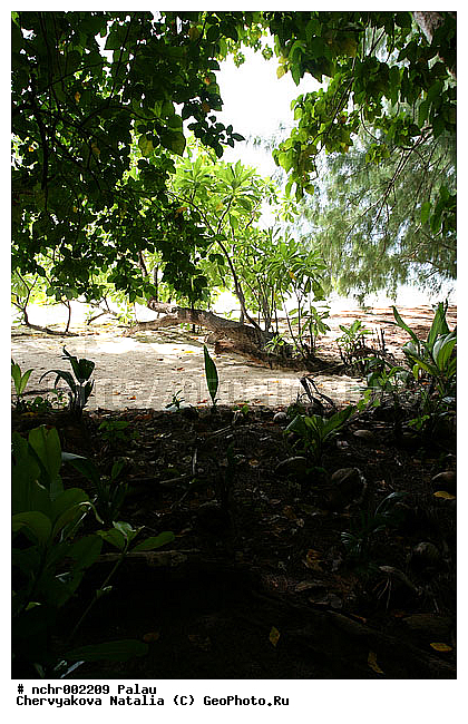 ����������, �����, ����� �����, ���������, ������������� ������, �������, �������, �����, ����, ���, �������