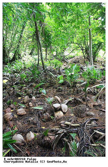 ����������, �����, ����� �����, ���������, �������, ��������� ����, ��������� ����, ������, ���, �������, �����, ����, ���, �������