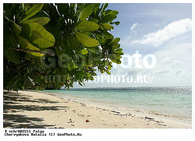 ����������, �����, ����� �����, ���������, ������������� ������, �������, �������, �����, ����, ���, �������