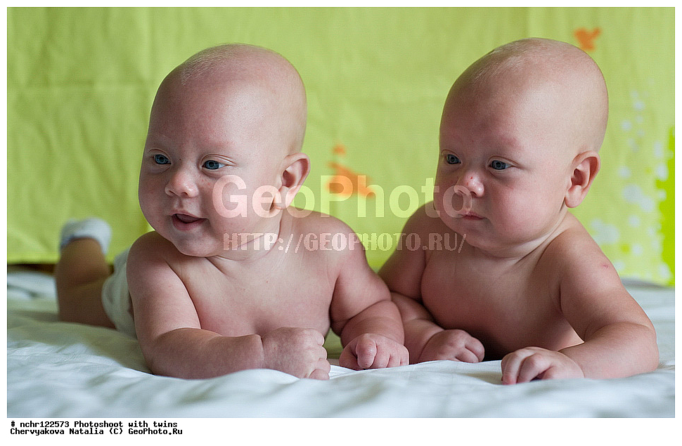  �������, ����, �����, ����������