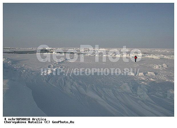 2008, �����, ��������, �������, �����������, ���, ���������, ����, �������