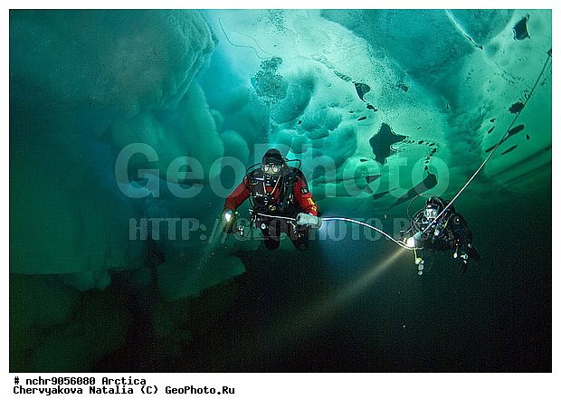 2008, �����, ��������, �������, �����������, �������, ���, ���������, ����, �������, ���������