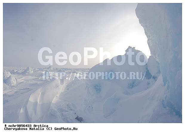 2008, �����, ��������, �������, �����������, ���, ���������, ����, �������