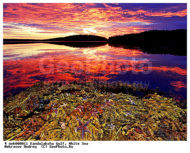 �������, �������, �����������, �����������, �����������, ����� ����, ����������, ����������, ����������, ������������� �����, �������, ������́��, ��������, ������, ������ , ������� �����, ������, ���������, ����, ���������, ������ ������, ���������, ������, ������, ������́����� ����, ��������, �����������, ����������� ����, ����, ������� ������, ������ ������, ������, ������, �����, �����, ��������, �������, ������� ����������, ��������-�������� ����, �������, �����������, �������, ������, ��������, ��������, ��������, ������, ������, ������, ������ � �����, ��������� ����, �������� ����, ����������� ����, ����� ����, �����������, �����������, ����� ����, �������� ����, ����������� ����, ����� ����, �����������, �����������, ����� ����