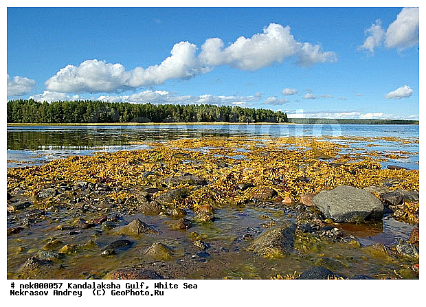 �������, �������, �����������, �����������, �����������, ����� ����, ����������, ����������, ����������, ������������� �����, �������, ������́��, ������, ������, ������� �����, ������, ���������, �����, ����, ���������, ������ ������, ���������, �����, ������́����� ����, ��������, �����������, ����������� ����, ����, ������� ������, ������, �����, �����, ��������, �������, ������� ����������, ��������-�������� ����, �������, �����������, ������, ��������, ��������, ��������, ������, ������, ������, ������ � �����, ��������� ����