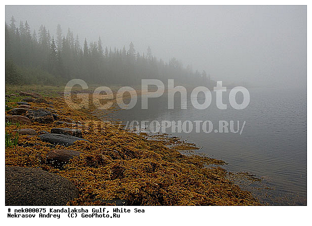 �������, �������, �����������, �����������, �����������, ����� ����, ����������, ����������, ����������, ������������� �����, �������, ������́��, ������, ������, ������� �����, ������, ���������, �����, ����, ���������, ������ ������, ���������, ������́����� ����, ��������, �����������, ����������� ����, ����, ������� ������, ������, �����, �����, ��������, �������, ������� ����������, ��������-�������� ����, �������, �����������, ������, ��������, ��������, ��������, ������, ������, ������, �����, ������, ������ � �����, ��������� ����, �������� ����, ����������� ����, ����� ����, �����������, �����������, ����� ����