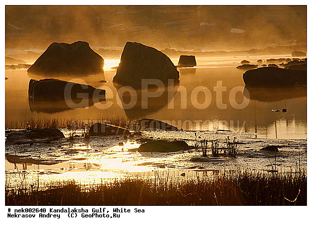 �������, �������, �����������, �����������, �����������, ����� ����, ����������, ����������, ����������, ������������� �����, �������, ��������, ������, ������, ������ , ������� �����, ������, �����, ����� ����, ����, ���������, ������ ������, ���������, �������, ��������, �����������, ����������� ����, ����, ������, �����, �����, ��������, �������, ������� ������, ��������-�������� ����, �������, �����������, ������, ������, ��������, ��������, ��������, ������, ������, ������, ������ � �����, �������� ����, ����������� ����, ����� ����, �����������, �����������, ����� ����