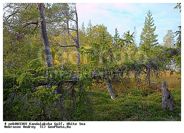 �������, �������, �����������, �����������, �����������, ����� ����, ����������, ����������, ����������, ������������� �����, �������, ������, ������ , ������� �����, ������, ���������, ������ ������, ���������, ������, �����, ��������, �������, �����������, ������, ��������, ��������, ��������, ������, ������, ������, ������ � �����, �������� ����, ����������� ����, ����� ����, �����������, �����������, ����� ����