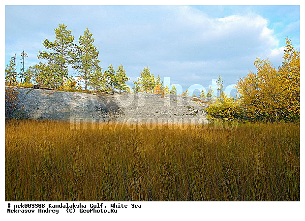 �������, �������, �����������, �����������, �����������, ����� ����, ����������, ����������, ����������, ������������� �����, �������, ������, ������ , ������� �����, ������, ���������, ������ ������, ���������, ������, �����, ��������, �������, �����������, ������, ��������, ��������, ��������, ������, ������, ������, ������ � �����, �������� ����, ����������� ����, ����� ����, �����������, �����������, ����� ����