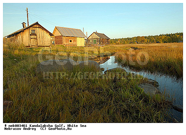 �������, �������, �����������, �����������, �����������, ����� ����, ����������, ����������, ����������, ������������� �����, �������, ������, ������, ������ , ������� �����, ������, ���������, �������, ������ ������, ���������, ������, �����, ��������, �������, ������� ������, �������, �����������, ������, ��������, ��������, ��������, ������, ����, ��������, �������� �����, ������, ������, ������ � �����, �������� ����, ����������� ����, ����� ����, �����������, �����������, ����� ����