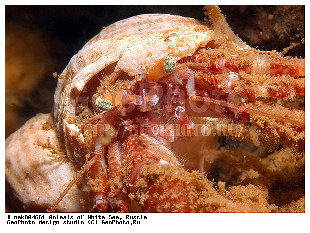 �������, �����������, �����������, �����������, ����� ����, ����������, ����������, ����������, �������, ��������� ���, �������� ����, ������, �����������, �������, ������, ������ ����, ��������, ����, ������, ������, ������, �����, ������, �������, ������, �������, ����� �������, ��������, ��������, ����� ����, ���������, ����, ����, �����, �����������, �����, ��������, ������� �����, �������, �������, ���������, ��������� ����, ���������, �����, ����������, ���������� ��� ����, ���, ���������, ��������� �����������, ��������� ����������, ���������, ���������, ���������, ��������� ����������, ���������, ��������� �����, ��� �����, ��������, ����������, ������, ��������, ��������, ��������, ������, �������� ����, ����������� ����, ����� ����, �����������, �����������, ����� ����