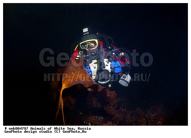 �������, �����������, �����������, �����������, �����������, ����� ����, ����������, ����������, ����������, �������, ��������� ���, �������� ����, ������, �����������, �������, ������, ������ ����, ��������, ����, ������, ������, ������, �����, ������, �������, ������, �������, ����� �������, ��������, ��������, ����� ����, ���������, ����, ����, ������� �����, �������, �������, ���������, ��������� ����, ���������, �����, ����������, ���������� ��� ����, ���, ���������, ��������� ����������, ���������, ���������, ���������, ��������� ����������, ���������, ��������� �����, ��� �����, ��������, ��������, ����������, ������, ��������, ��������, ��������, ������, �������� ����, ����������� ����, ����� ����, �����������, �����������, ����� ����