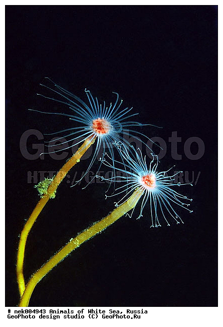 �������, �����������, �����������, �����������, �����������, ����� ����, ����������, ����������, ����������, �������, ��������� ���, �������� ����, ������, �����������, �������, ������, ������ ����, ��������, ������, ������, ����, ������, ������, ������, �����, ������, �������, ������, �������, ���, ����, ����� �������, ��������, ��������, ����� ����, ���������, ����, ����, �����, �����������, �����, ��������, ������� �����, �������, �������, ���������, ��������� ����, ���������, �����, ����, ����������, ���������� ��� ����, ���, ���������, ��������� �����������, ��������� ����������, ���������, ���������, ���������, ��������� ����������, ���������, ��������� �����, ��� �����, ��������, ��������, ����������, ������, ��������, ��������, ��������, ������, ���, ����, ����, �������� ����, ����������� ����, ����� ����, �����������, �����������, ����� ����