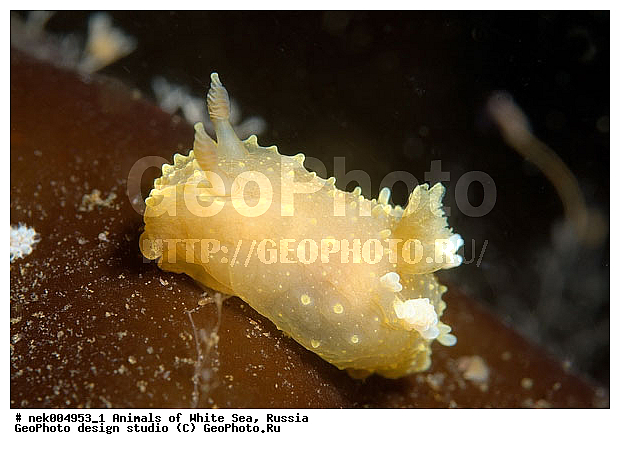 �������, �����������, �����������, �����������, �����������, ����� ����, ������������, ������������ �������, ����������, ����������, ����������, �������, ��������� ���, �������� ����, ������, ���������, �����������, �������, ������, ������ ����, ��������, ����, ������, ������, ������, �����, ������, �������, ������������, ������������, ������, �������, ����� �������, ��������, ��������, ��������, ����� ����, ���������, ����, ����, �����, �����������, �����������, �����, ��������, �������, �������. ��������, ��������, ������� �����, �������, �������, ������� �������, ��������, ����������, ���������, ��������� ����, ���������, �����, ����������, ���������� ��� ����, ���, ���������, ��������� �����������, ��������� ����������, ���������, ���������, ���������, ��������� ����������, ���������, ��������� �����, ��� �����, ��������, ��������, ����������, ������, ��������, ��������, ��������, ������, �������, ������, �������, ������������, ������������, �������� ����, ����������� ����, ����� ����, �����������, �����������, ����� ����