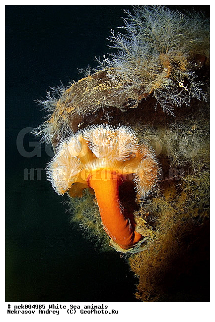 �������, �����������, �����������, �����������, �����������, ����� ����, ����������, ����������, ����������, �������, ��������� ���, �������� ����, ������, �����������, �������, ������, ������ ����, ��������, ����, ������, ������, ������, �����, ������, �������, ������, �������, ����� �������, ��������, ��������, ����� ����, ���������, ����, ����, ������� �����, �������, �������, ���������, ��������� ����, ���������, �����, ����������, ���������� ��� ����, ���, ���������, ��������� ����������, ���������, ���������, ���������, ��������� ����������, ���������, ��������� �����, ��� �����, ��������, ��������, ����������, ������, ��������, ��������, ��������, ������, �������, �������, ������, �������, �������� ����, ����������� ����, ����� ����, �����������, �����������, ����� ����