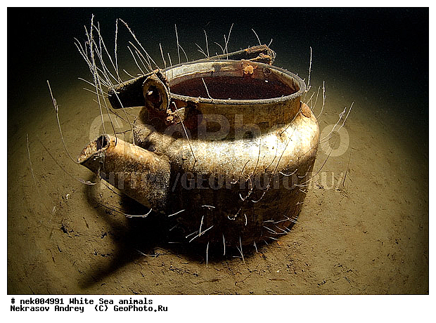 �������, �����������, �����������, �����������, �����������, ����� ����, ����������, ����������, ����������, �������, ��������� ���, �������� ����, ������, �����������, �������, ������, ������ ����, ��������, ����, ������, ������, ������, �����, ������, �������, ������, �������, ����� �������, ��������, ��������, ����� ����, ���������, ����, ����, ������� �����, �������, �������, ���������, ��������� ����, ���������, �����, ����������, ���������� ��� ����, ���, ���������, ��������� ����������, ���������, ���������, ���������, ��������� ����������, ���������, ��������� �����, ��� �����, ��������, ��������, ����������, ������, ��������, ��������, ��������, ������, �������� ����, ����������� ����, ����� ����, �����������, �����������, ����� ����