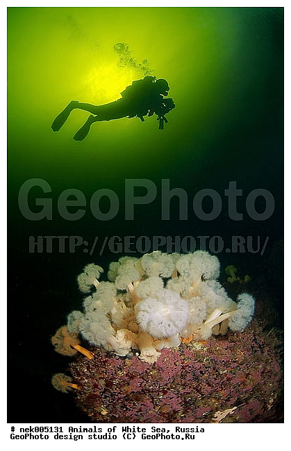 �������, �����������, �����������, �����������, �����������, ����� ����, ����������, ����������, ����������, �������, ��������� ���, �������� ����, ������, �����������, �������, ������, ������ ����, ��������, ����, ������, ������, ������, �����, ������, �������, ������, �������, ����� �������, ��������, ��������, ����� ����, ���������, ����, ����, ������� �����, �������, �������, ���������, ��������� ����, ���������, �����, ����������, ���������� ��� ����, ���, ���������, ��������� ����������, ���������, ���������, ���������, ��������� ����������, ���������, ��������� �����, ��� �����, ��������, ��������, ����������, ������, ��������, ��������, ��������, ������, ������� � ��������� ���, ������� � �������, �������, �������, ������, �������, �������� ����, ����������� ����, ����� ����, �����������, �����������, ����� ����