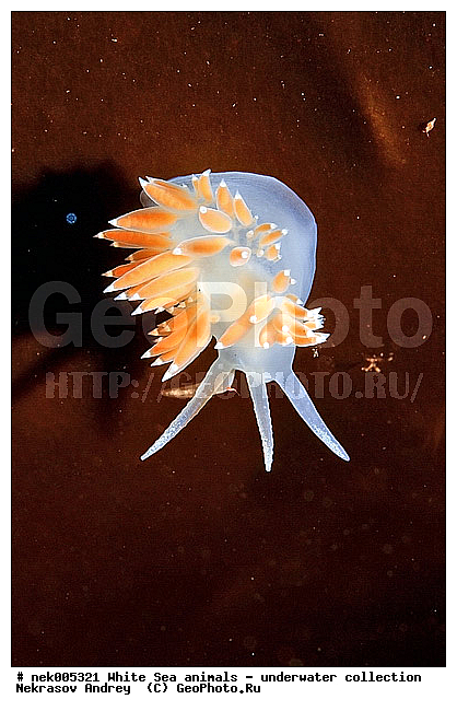 �������, �����������, �����������, �����������, �����������, ����� ����, ������������, ������������ �������, ����������, ����������, ����������, ��������� ���, ���������, �����������, �������, ������, ������ ����, ��������, ����, ������, �������, ������������, ������������, ������, �������, ����� �������, ��������, ��������, ��������, ����� ����, ���������, ����, ����, �����, �����������, �����������, �����, ��������, �������, �������. ��������, ��������, ������� �����, �������, �������, ������� �������, ��������, ����������, ���������, ��������� ����, ���������, �����, ����������, ���������� ��� ����, ���������, ��������� �����������, ��������� ����������, ���������, ���������, ��������� ����������, ��������� �����, ��� �����, ��������, ��������, ����������, ������, ��������, ��������, ��������, ������, �������, ������, �������, ������������, ������������, �������� ����, ����������� ����, ����� ����, �����������, �����������, ����� ����, �������� ����, ����������� ����, ����� ����, �����������, �����������, ����� ����