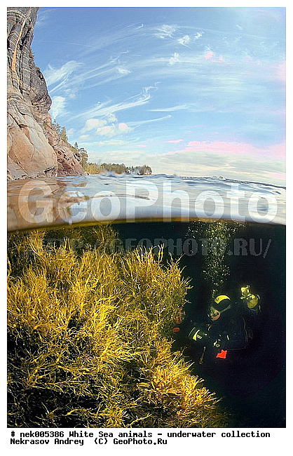 �������, �����������, �����������, �����������, �����������, ����� ����, ����������, ����������, ����������, ��������� ���, �����������, �������, ������, ������ ����, ��������, ����, ������, ������, ������, �����, ������, �������, ������, �������, ����� �������, ��������, ��������, ����� ����, ���������, ����, ����, ������� �����, �������, �������, ���������, ��������� ����, ���������, �����, ����������, ���������� ��� ����, ���, ���������, ��������� ����������, ���������, ���������, ���������, ��������� ����������, ���������, ��������� �����, ��� �����, ��������, ��������, ����������, ������, ��������, ��������, ��������, ������, �����, ������� � ��������� ���, ������� � �������