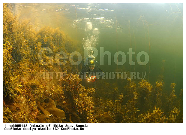 �������, �����������, �����������, �����������, �����������, ����� ����, ����������, ����������, ����������, �������, ��������� ���, �������� ����, ������, �����������, �������, ������, ������ ����, ��������, ����, ������, ������, ������, �����, ������, �������, ������, �������, ����� �������, ��������, ��������, ����� ����, ���������, ����, ����, ������� �����, �������, �������, ���������, ��������� ����, ���������, �����, ����������, ���������� ��� ����, ���, ���������, ��������� ����������, ���������, ���������, ���������, ��������� ����������, ���������, ��������� �����, ��� �����, ��������, ��������, ����������, ������, ��������, ��������, ��������, ������, �������� ����, ����������� ����, ����� ����, �����������, �����������, ����� ����