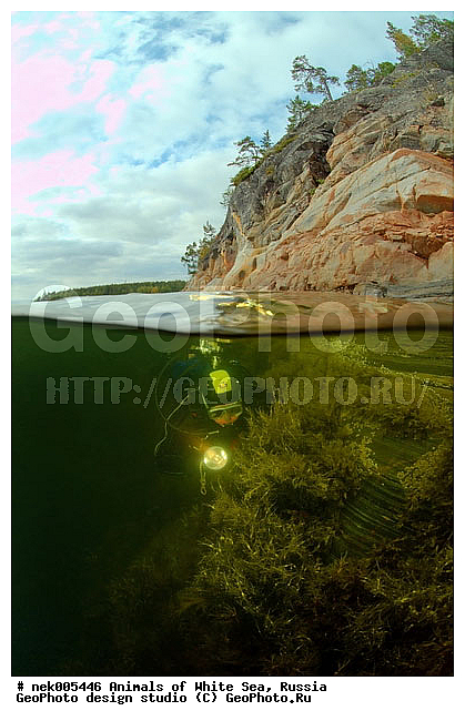 �������, �������, �����������, �����������, �����������, �����������, ����� ����, ����������, ����������, ����������, �������, ��������, ��������� ���, �������� ����, ������, �����������, �������, ������, ������ ����, �����, ����� ����, ��������, ����, ������, ������, ������, �����, ������, �������, ������, �������, ����� �������, ��������, ��������, ����� ����, ���������, �������, ����, ����, �����������, ����������� ����, ����, ������� �����, �������, �������, ���������, ��������� ����, ���������, �����, �����, ����������, ���������� ��� ����, ���, ���������, ��������� ����������, ���������, ���������, ���������, ��������� ����������, ���������, ��������� �����, ��� �����, ��������, ��������, ����������, ��������-�������� ����, ������, ������, ��������, ��������, ��������, ������, �����, ������� � ��������� ���, ������� � �������, �������� ����, ����������� ����, ����� ����, �����������, �����������, ����� ����