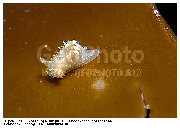 �������, �����������, �����������, �����������, �����������, ����� ����, ������������, ������������ �������, ����������, ����������, ����������, ��������� ���, ���������, �����������, �������, ������, ������ ����, ��������, ����, ������, ������, ������, �����, ������, �������, ������������, ������������, ������, �������, ����� �������, ��������, ��������, ��������, ����� ����, ���������, ����, ����, �����, �����������, �����������, �����, ��������, �������, �������. ��������, ��������, ������� �����, �������, �������, ������� �������, ��������, ����������, ���������, ��������� ����, ���������, �����, ����������, ���������� ��� ����, ���, ���������, ��������� �����������, ��������� ����������, ���������, ���������, ���������, ��������� ����������, ���������, ��������� �����, ��� �����, ��������, ��������, ����������, ������, ��������, ��������, ��������, ������, �������, ������, �������, ������������, ������������