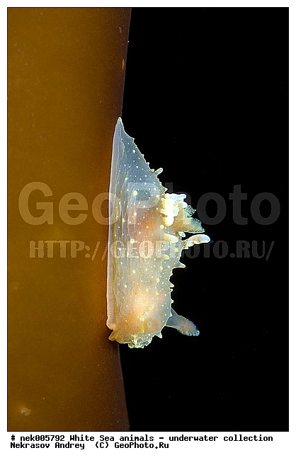 �������, �����������, �����������, �����������, �����������, ����� ����, ������������, ������������ �������, ����������, ����������, ����������, ��������� ���, ���������, �����������, �������, ������, ������ ����, ��������, ����, ������, ������, ������, �����, ������, �������, ������������, ������������, ������, �������, ����� �������, ��������, ��������, ��������, ����� ����, ���������, ����, ����, �����, �����������, �����������, �����, ��������, �������, �������. ��������, ��������, ������� �����, �������, �������, ������� �������, ��������, ����������, ���������, ��������� ����, ���������, �����, ����������, ���������� ��� ����, ���, ���������, ��������� �����������, ��������� ����������, ���������, ���������, ���������, ��������� ����������, ���������, ��������� �����, ��� �����, ��������, ��������, ����������, ������, ��������, ��������, ��������, ������, �������, ������, �������, ������������, ������������, �������� ����, ����������� ����, ����� ����, �����������, �����������, ����� ����