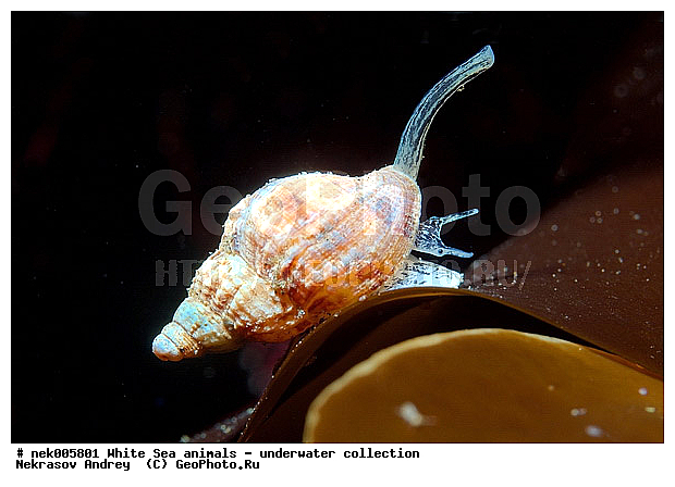 �������, �����������, �����������, �����������, �����������, ����� ����, ������������, ����������, ����������, ����������, ��������� ���, ���������, �����������, �������, ������, ������ ����, ��������, ����, ������, ������, ������, �����, ������, �������, ������������, ������������, ������, �������, ����� �������, ��������, ��������, ��������, ����� ����, ���������, ����, ����, �����, �����������, �����������, �����, ��������, �������, ��������, ������� �����, �������, �������, ������� �������, ��������, ����������, ���������, ��������� ����, ���������, �����, ����������, ���������� ��� ����, ���, ���������, ��������� �����������, ��������� ����������, ���������, ���������, ���������, ��������� ����������, ���������, ��������� �����, ��� �����, ��������, ��������, ����������, ������, ��������, ��������, ��������, ������, �������, ������, �������, ������������, ������������