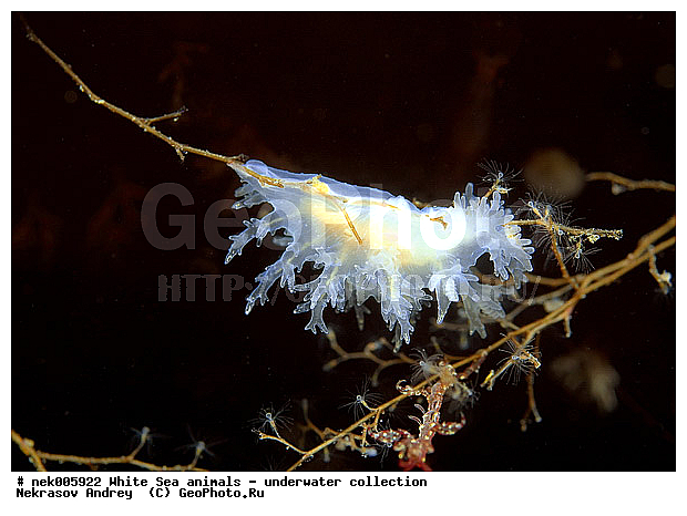 �������, �����������, �����������, �����������, �����������, ����� ����, ������������, ������������ �������, ����������, ����������, ����������, ��������� ���, ���������, �����������, �������, ������, ������ ����, ��������, ����, ������, ������, ������, �����, ������, �������, ������������, ������������, ������, �������, ����� �������, ��������, ��������, ��������, ����� ����, ���������, ����, ����, �����, �����������, �����������, �����, ��������, �������, �������. ��������, ��������, ������� �����, �������, �������, ������� �������, ��������, ����������, ���������, ��������� ����, ���������, �����, ����������, ���������� ��� ����, ���, ���������, ��������� �����������, ��������� ����������, ���������, ���������, ���������, ��������� ����������, ���������, ��������� �����, ��� �����, ��������, ��������, ����������, ������, ��������, ��������, ��������, ������, �������, ������, �������, ������������, ������������, �������� ����, ����������� ����, ����� ����, �����������, �����������, ����� ����